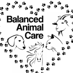 Balanced Animal Care